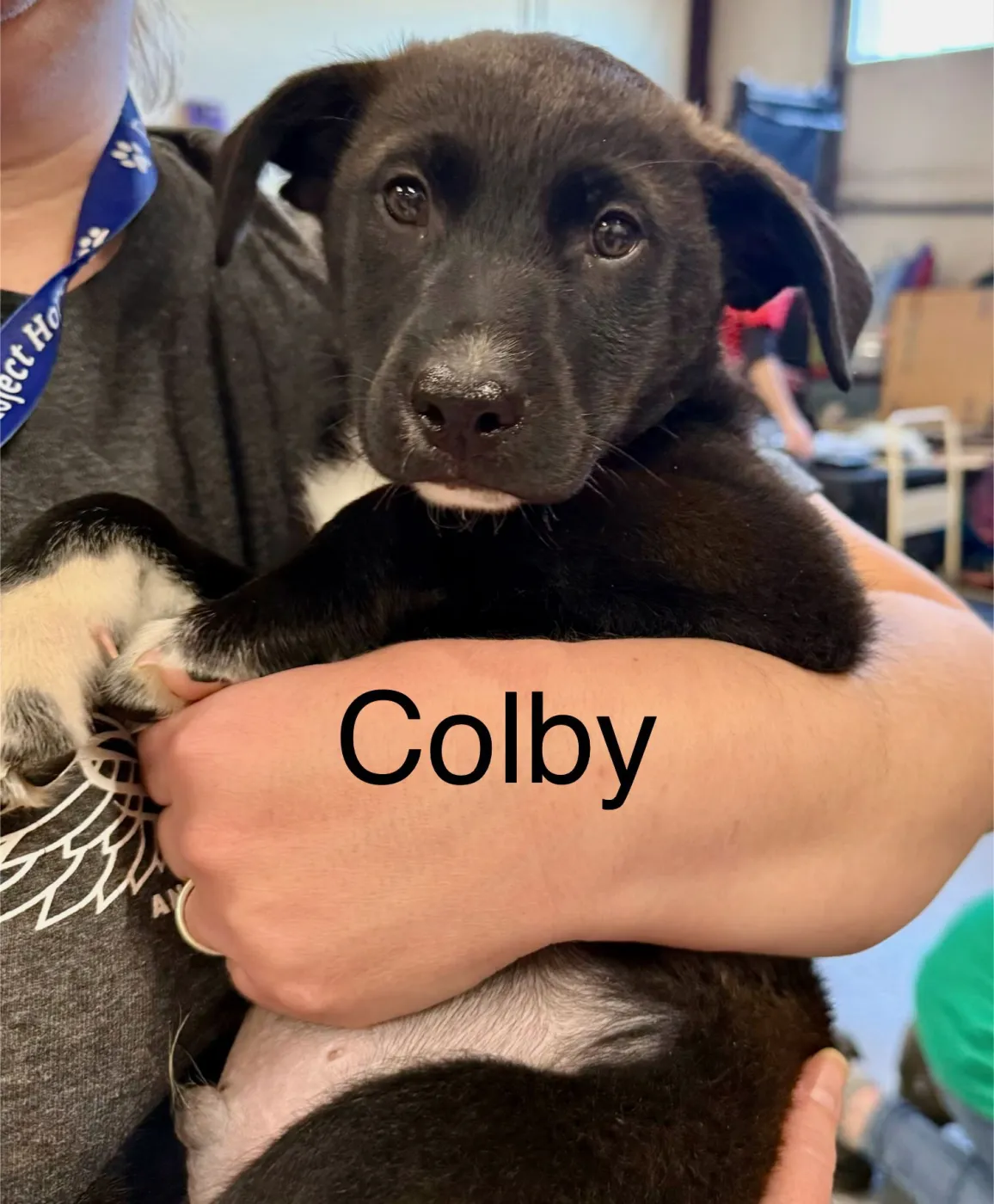 Colby - Photo 4