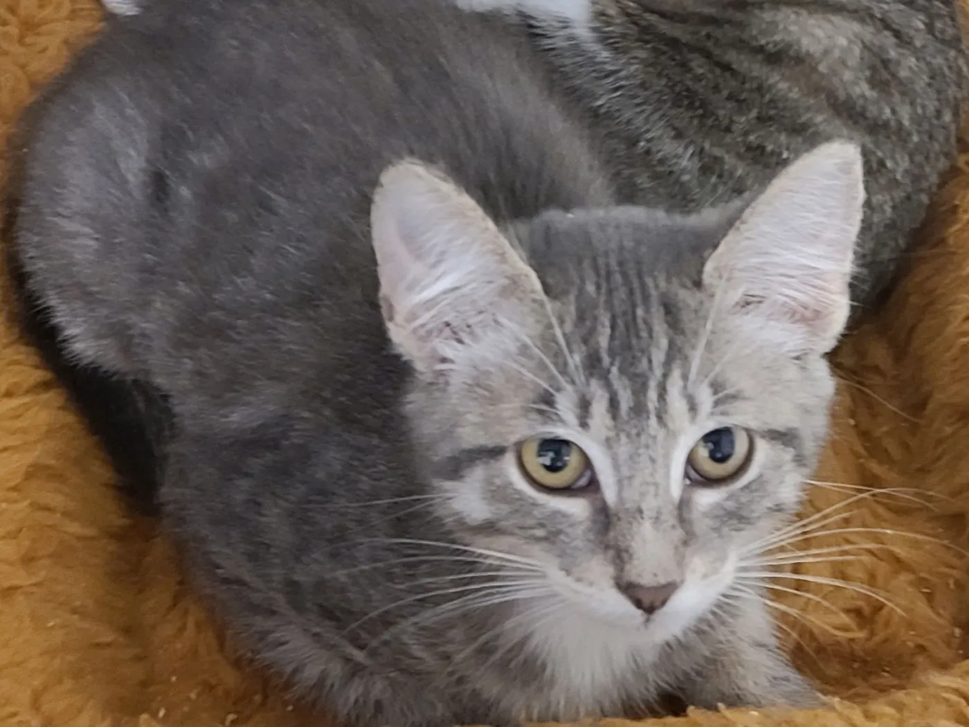 Spilt Milk - Photo 2