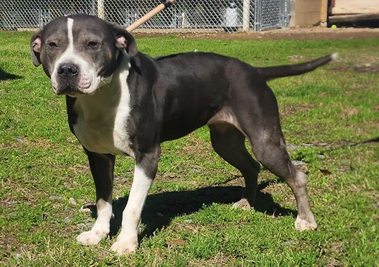 Betty White - Photo 1