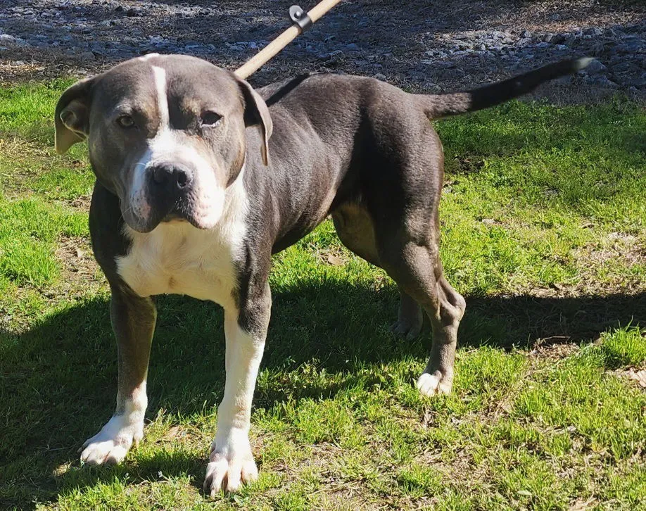 Betty White - Photo 2