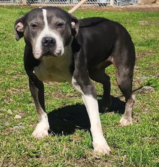 Betty White - Photo 3