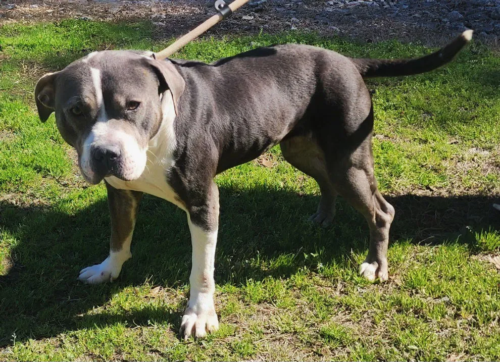 Betty White - Photo 4