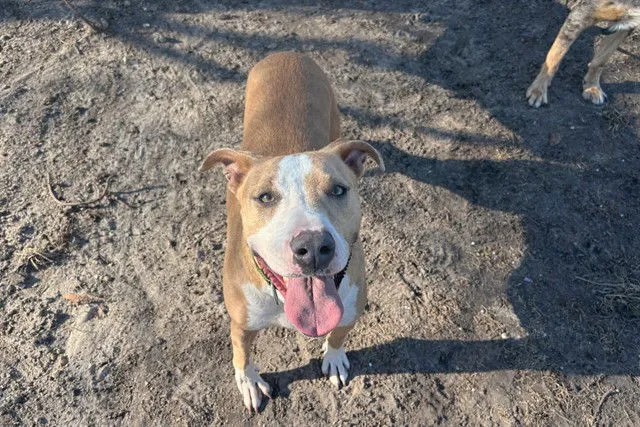 Cooper Marie - Photo 1