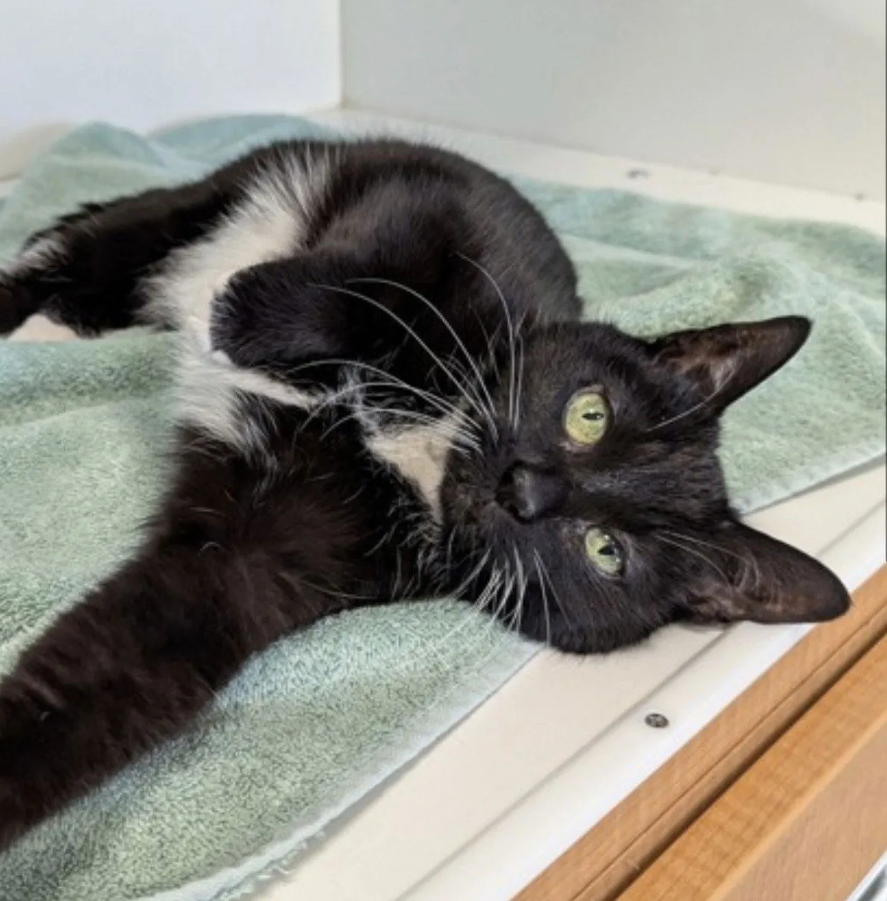 Sporty Spice - Photo 1