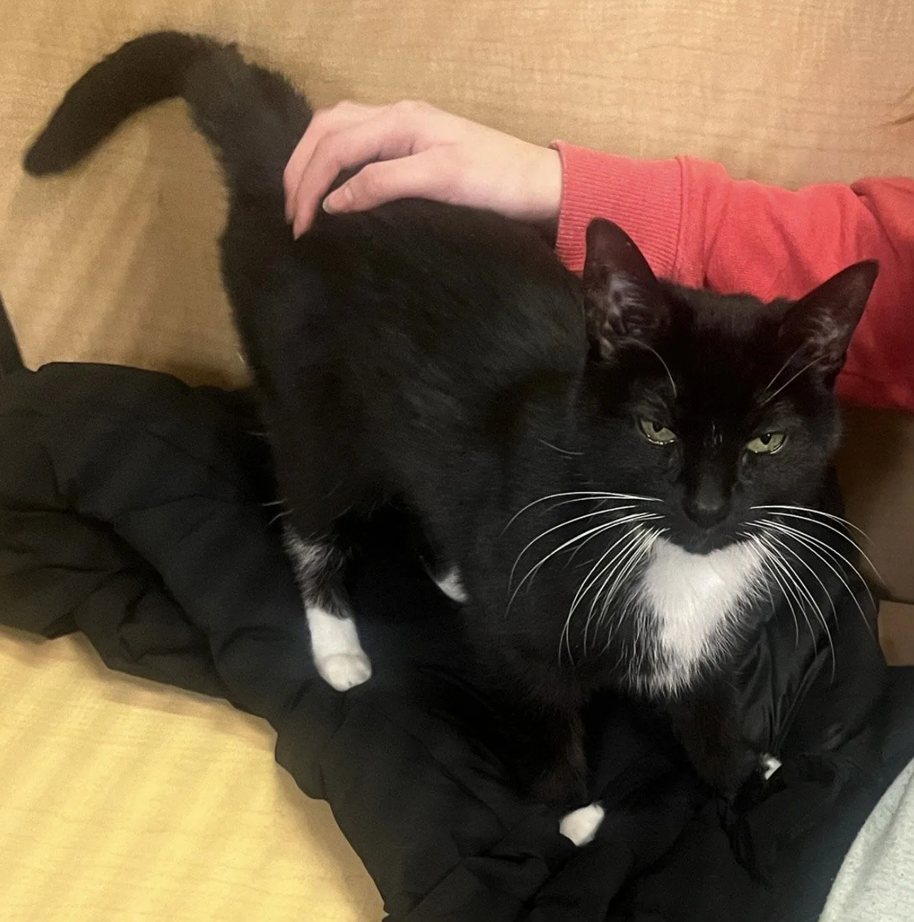 Sporty Spice - Photo 3