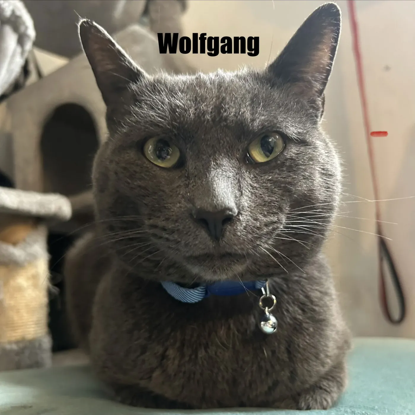 Wolfgang - Photo 2