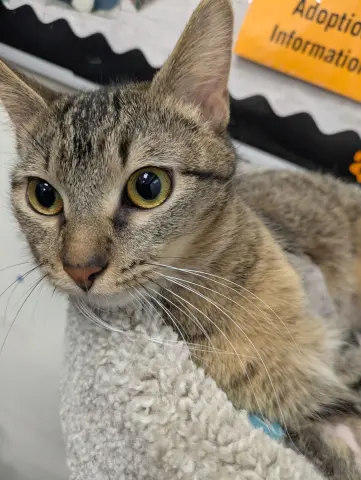 Wabi-Sabi thumbnail 5