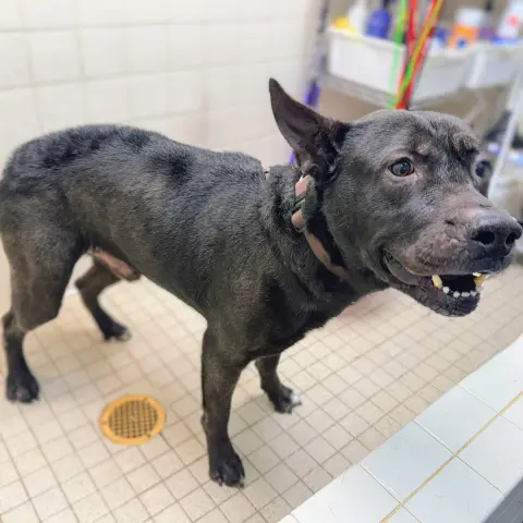 Applebees thumbnail 5