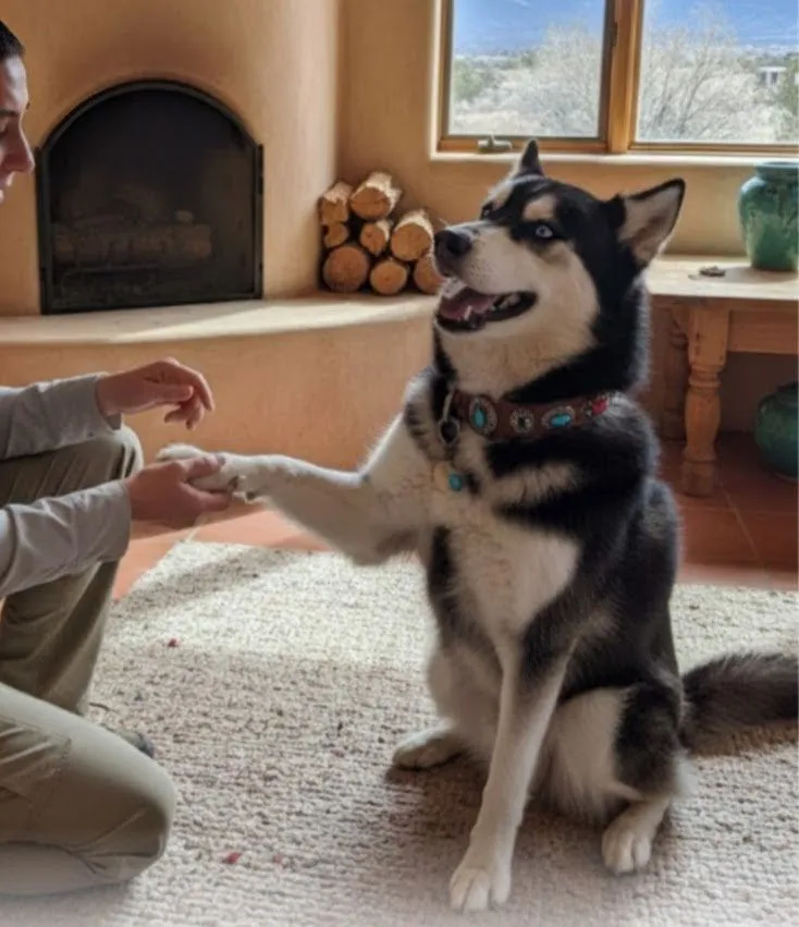 Husker Joe - Photo 1