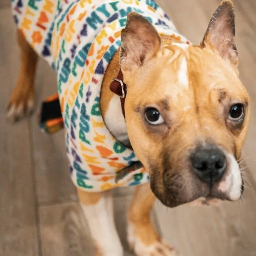 Jade Blossom - Photo 3