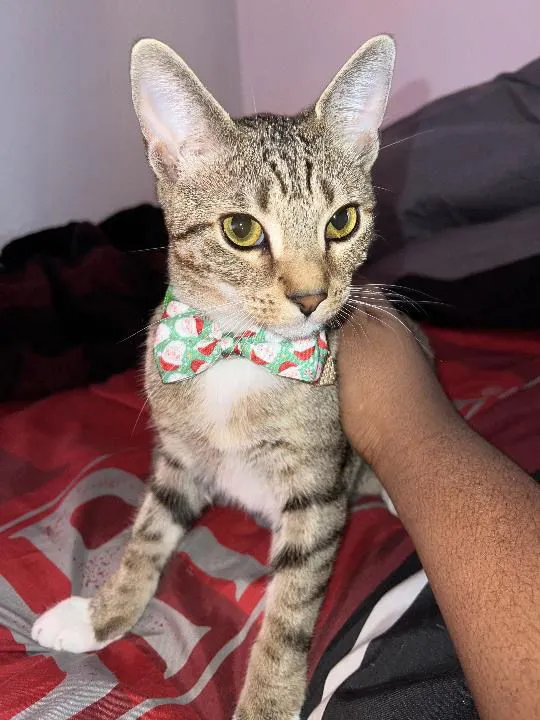 King & Prince - Photo 2