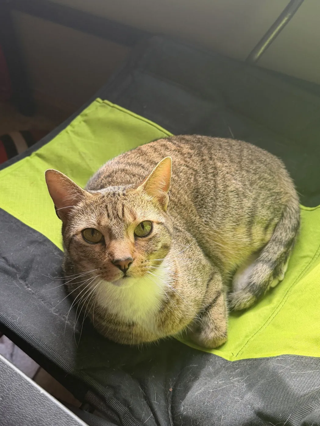 King & Prince - Photo 4