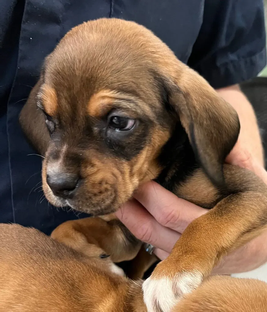 Kev Gallagher - Photo 1