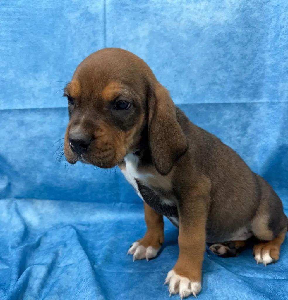 Kev Gallagher - Photo 2