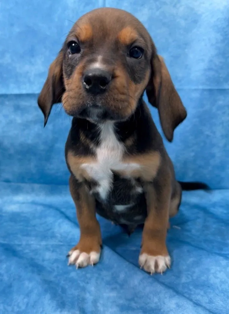 Kev Gallagher - Photo 3