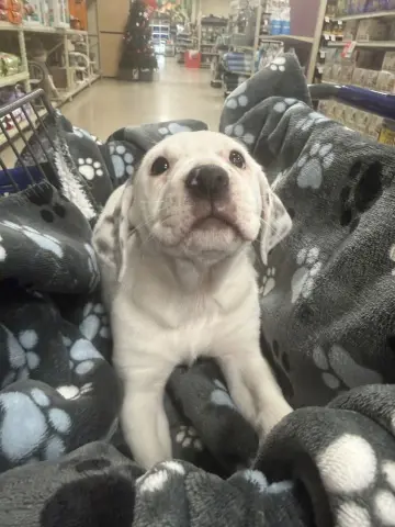 Mary-Kate thumbnail 2