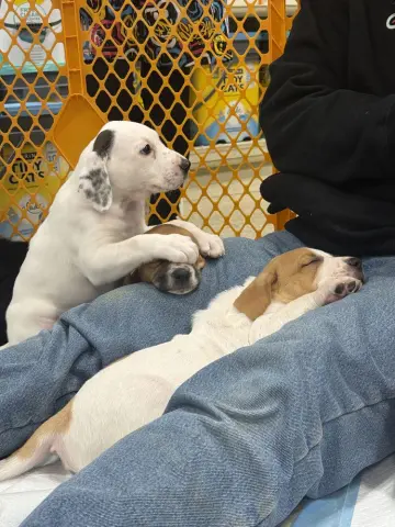 Mary-Kate thumbnail 3