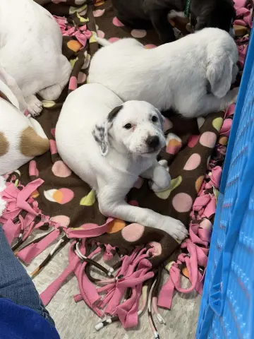 Mary-Kate thumbnail 4