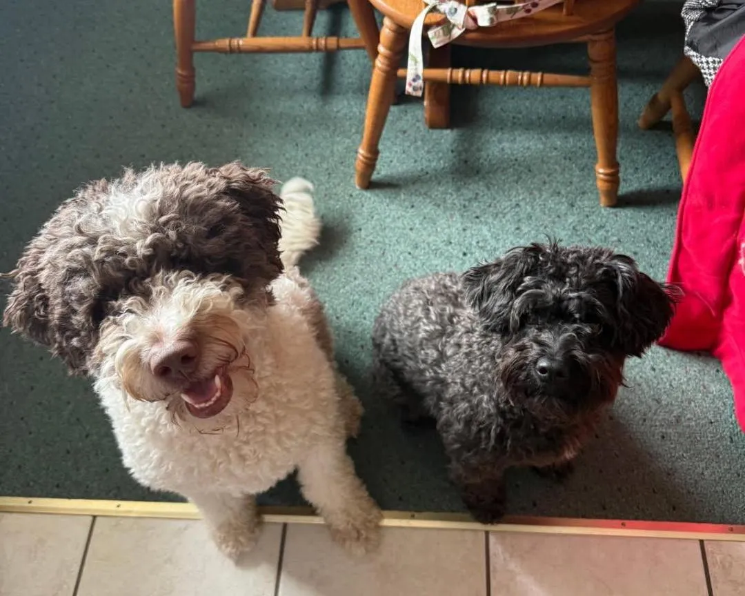 Diamond and Star - Photo 1