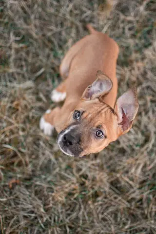 Honeycomb thumbnail 2