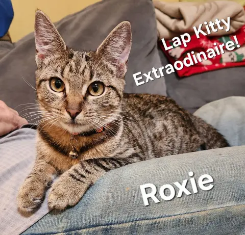 Roxie