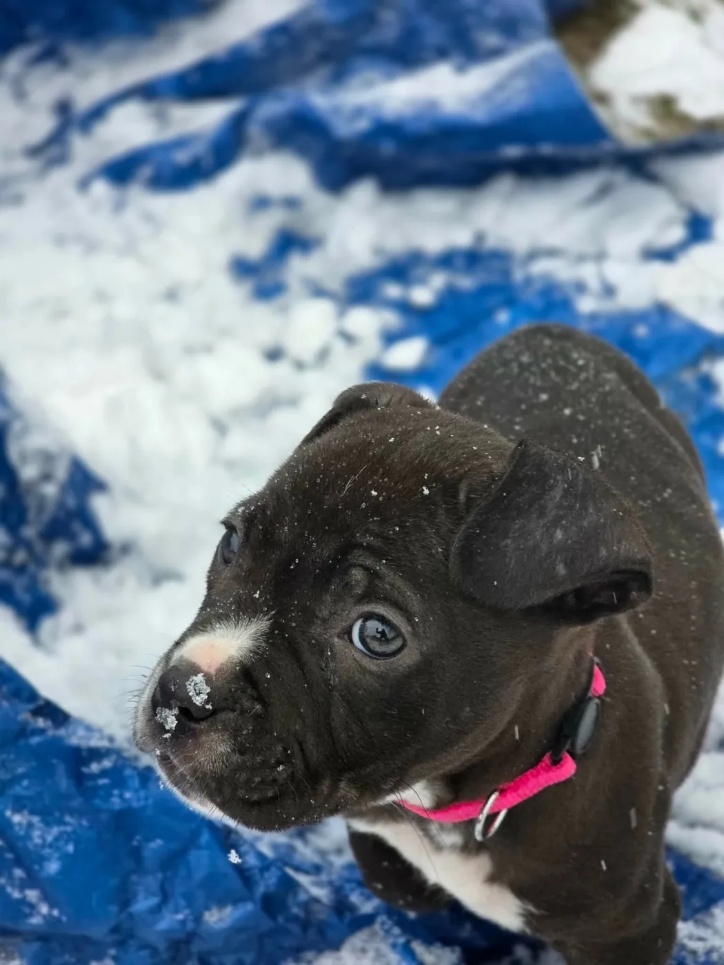 Dr. Bailey - Photo 2