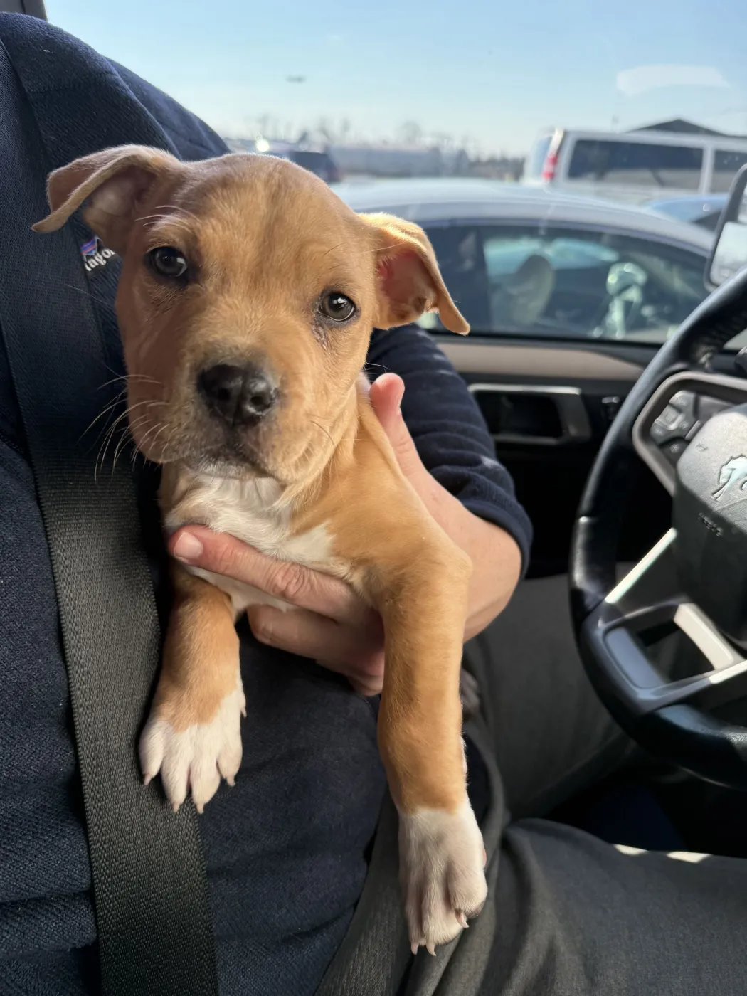 Dr. Webber - Photo 2