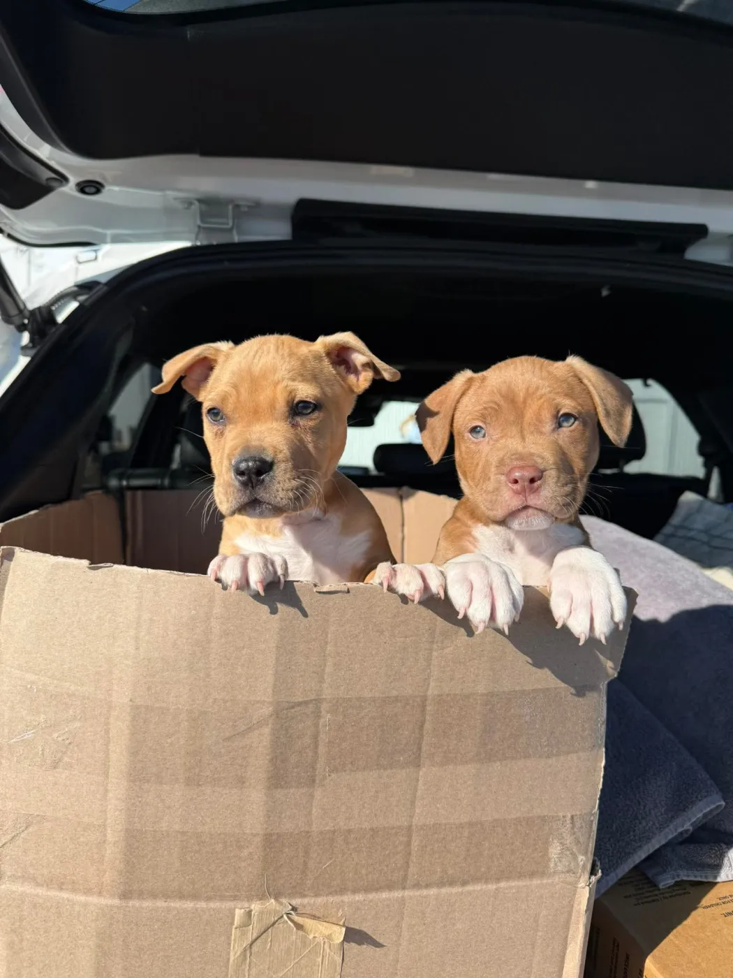 Dr. Webber - Photo 3