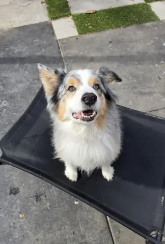 Big Blue thumbnail 2