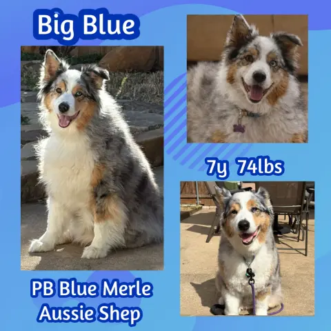 Big Blue thumbnail 3