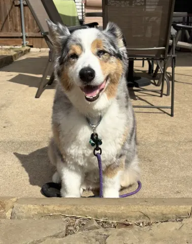 Big Blue thumbnail 4