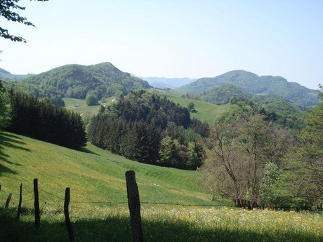 Zeglinger Bergmatten