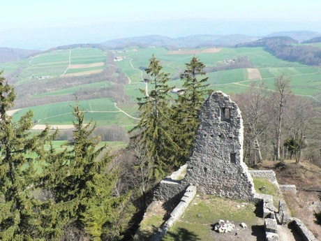 Ruine Farnsburg (Copyright: Basel Tourismus)