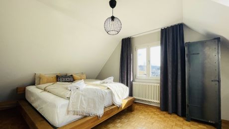 Der König von Olten