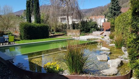 Der Schwimmteich
