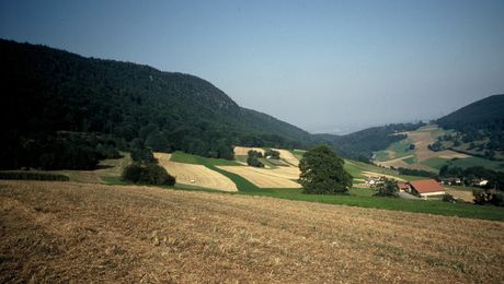 Bei Plagne, Blick Richtung Grenchen