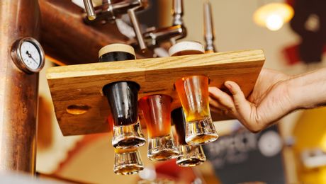 Degustation Drei Tannen Bier