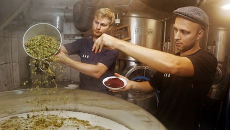Herstellung Drei Tannen Bier