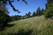 Orchideenlehrpfad Erlinsbach Orchideenlehrpfad Erlinsbach
