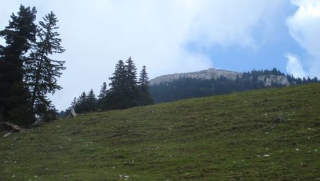 Le Suchet