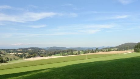 Pleigne La Burgisberg, Blick gegen Nordosten