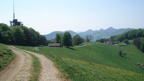 Frohburg mit Telekommunikationsturm