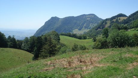 Blick gegen Röti