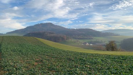 Wölflinswil, Blick zu den Antennen auf dem Strihen und Wasserfluh