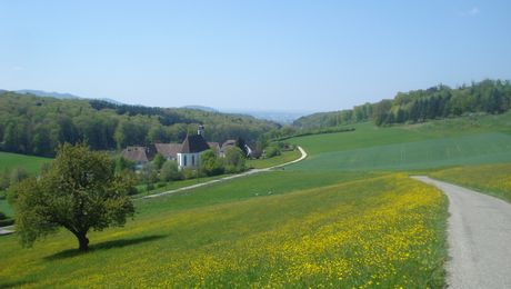 Beim Stift Olsberg