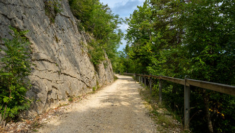 Fortifikation Hauenstein - Belchen - Südstrasse von Christian Rieder