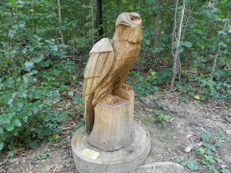 Adler