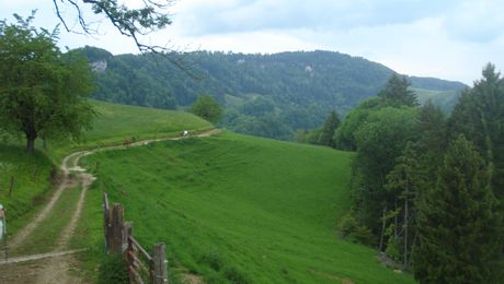 Fringelikette gegen Westen