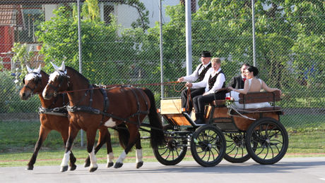 Eine Fahrt mit einer Wagonette