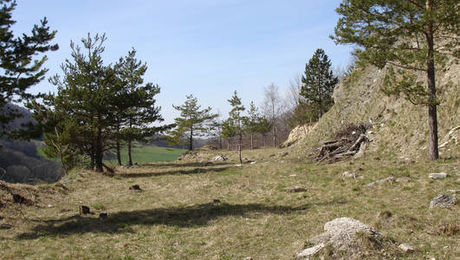 Blick auf eine der typischen Terrassen
